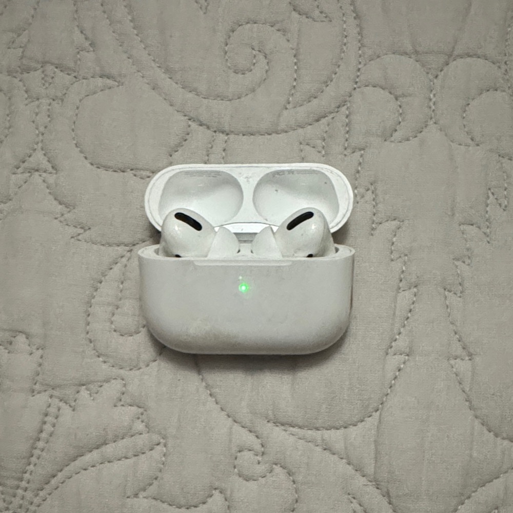 Apple White Earbud Headphones